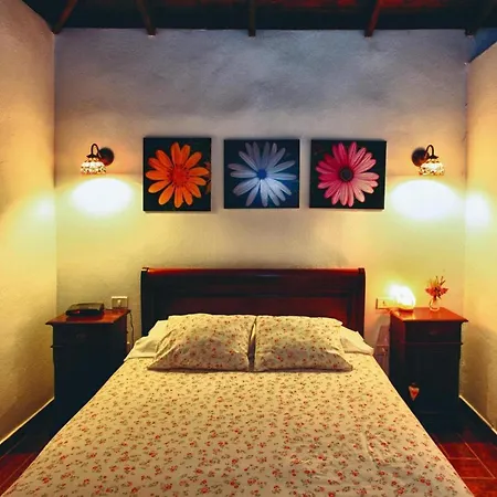 Holiday Home, *